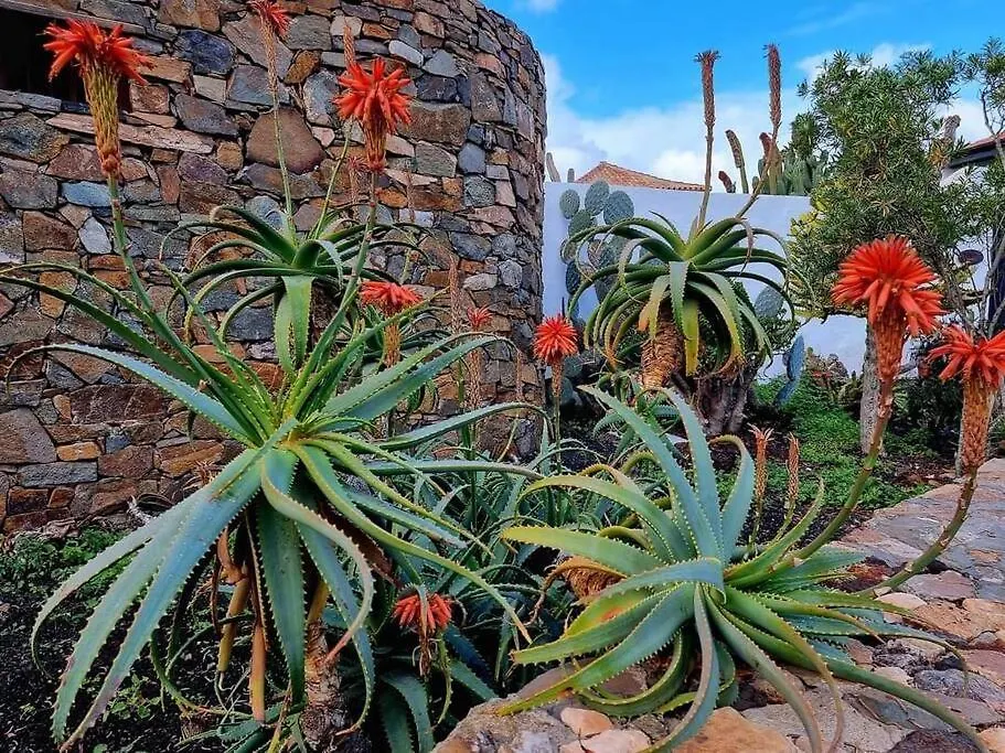 Air-Conditioned Flat Casa Freesia Caleta De Fuste Spain
